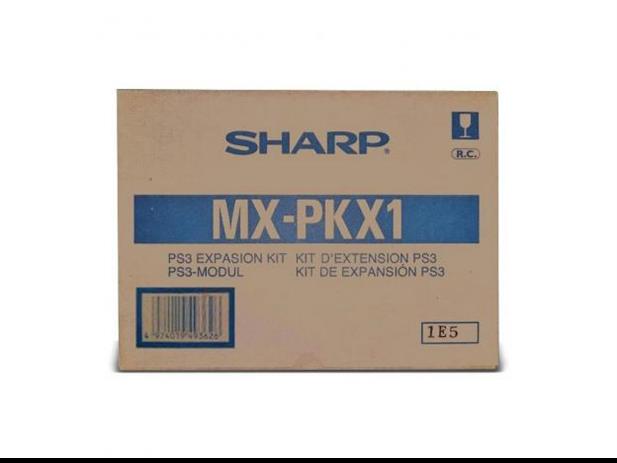 SHAMXPK13